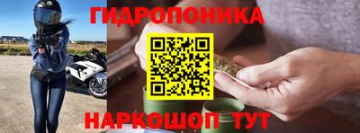 кокс Можайск