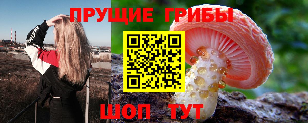 Галлюциногенные грибы MAGIC MUSHROOMS Щёлково